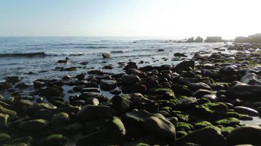 Okyanus kenarında yosunları olan açık deniz plajı.