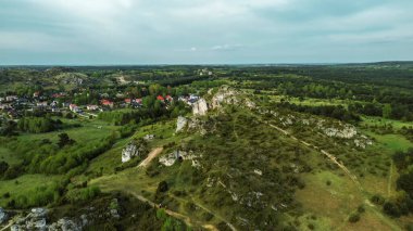 Dağ yolu yeşil arazide dönüyor.