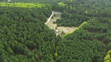 Çam ormanı yakınlarında eğlence aracı.