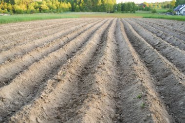 Toprak kırsal kesimlerde ekime hazır.