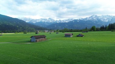 Yeşil çayır ve alp ormanlarında yürüyüş yapmak.