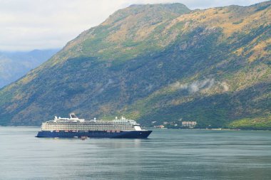 Manzaralı Kotor dağlarının yanından geçen bir gemi.