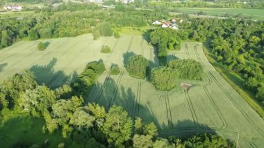 Kırsal bölgedeki organik ekin tarlaları ve tarım arazileri