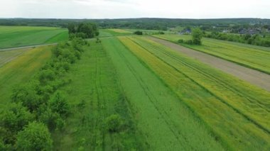Büyüyen ekinler ve ağaçlarla birlikte kırsal arazi