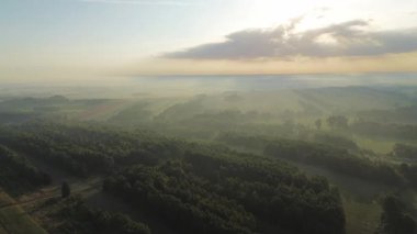 Yumuşak güneş ışığı sisli köy manzarasında