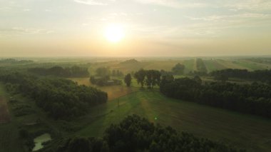 Sabahın erken saatlerinde yeşil orman manzarası üzerine sis.