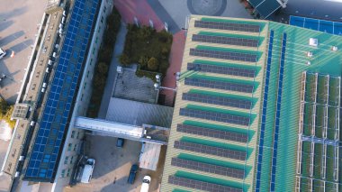 Banliyö aile evleri ve ağaçlarının en iyi manzarası