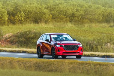 Huzurlu yolda ağaçların yanında giden SUV.