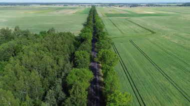 Yeşil tarım arazisinden geçen düz yol