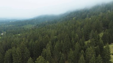 Güneşin doğuşunda sisler huzurlu vadiyi kaplıyor