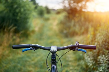 Dağ bisikletiyle vahşi doğayı keşfediyorlar.