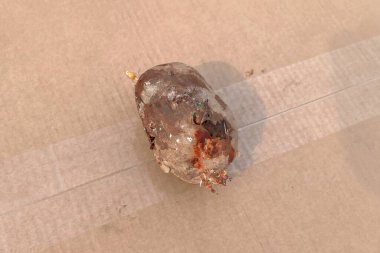 Görünür kökleri olan çürüyen bir patates.