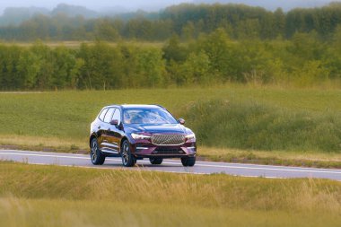 Kırsal kesimde aile arabası doğa ile çevrili.