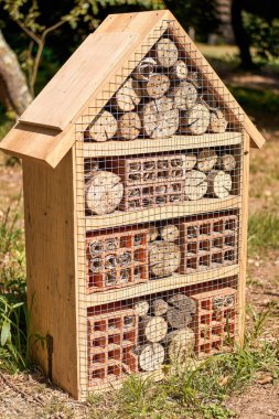 Yabani yaşamı korumak için böcek yuvası.