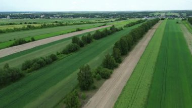 Orman kenarlı yeşil tarım arazilerinin havadan görünüşü