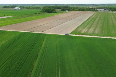 Yeşil tarlalarda giden araba