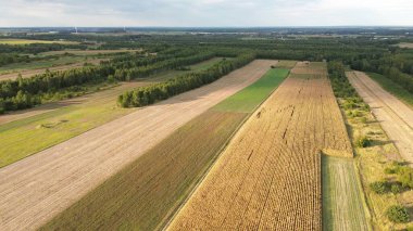 Çiftlik arazisi ve doğal manzaranın en üst görüntüsü