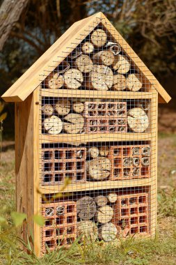 Doğal açık havada el yapımı böcek oteli.