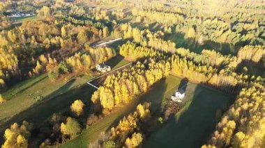 Doğa ve ağaçlarla çevrili ıssız bir ev.