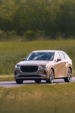 Japon arabaları performans ve konforu birleştiriyor