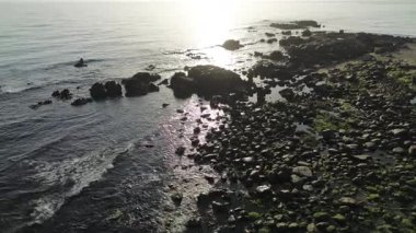 Düşük gelgitte savunmasız taşlar ve yeşil algler