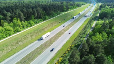 Yoldan geçen araçlarla yemyeşil orman yolu