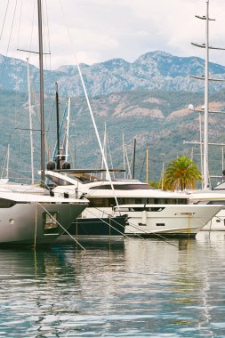 Yatı ve tepe manzaralı bir liman..