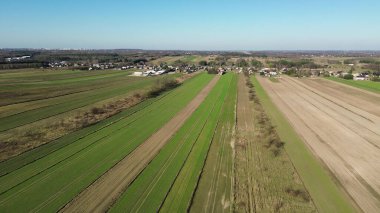 Yeşillerin filizlendiği ekili tarlalar.