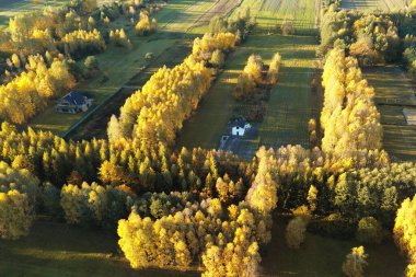 Renkli sonbahar ormanlarıyla çevrili ücra bir ev.