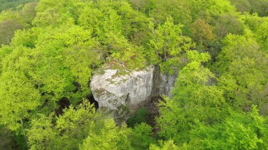 Uçurumu olan bir orman tepesi