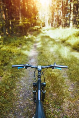Dağ bisikleti gidonunda GPS var, dolambaçlı bir orman yolunda yol alıyor ve heyecan verici bir bisiklet deneyimi sağlıyor.