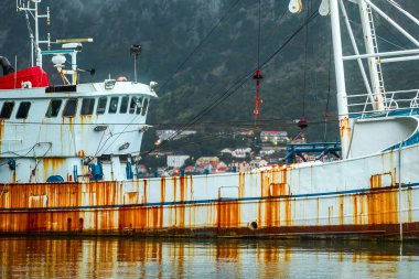 Sahil suyunda dinlenen pas kaplı tekne.