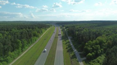 Yeşil ağaçların arasında güneşli kırsal yol
