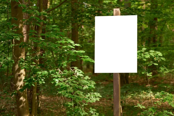 Kuru yeşil ormandaki tahta direğin üzerinde boş beyaz tabela.
