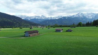 Yeşil çayırların arkasındaki karlı alp zirveleri
