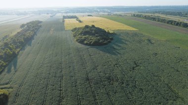 Orman ve Tarlaların Dokulu Güzelliği Hava