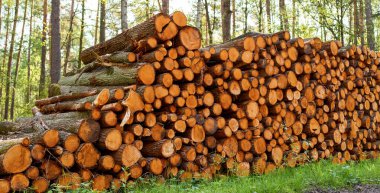 Doğal ısı kaynağı olarak kesilmiş kütükler