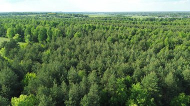 Baharın başlarında karışık tarım arazileri ve ormanlar