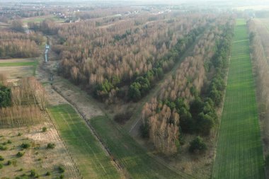 Mevsimlik ağaçların değiştiği kırsal bir orman.
