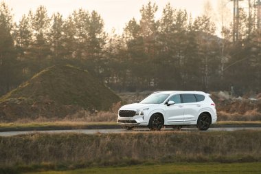 Ormanın yakınında giden yolcu aracı