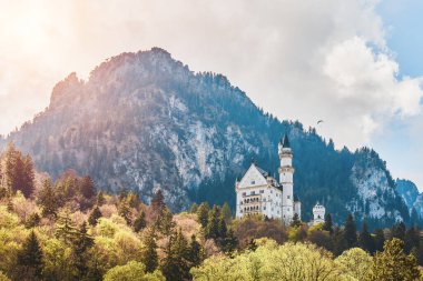 İlkbahar ağaçlarıyla çevrili Alp Kalesi