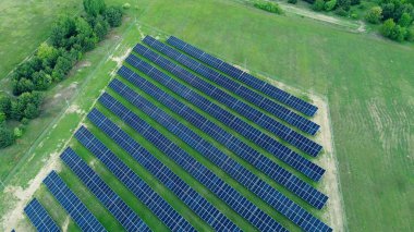 Güneş ışığını yakalıyor, güneş panelleri canlı yeşil bir alana yayılıyor.