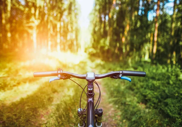 Ormanda bisiklet gidonu ve GPS