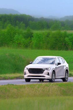 Toprak yolda seyahat eden sıkıştırılmış AWD kesişmesi