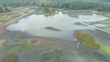 Küçük göl ve çevreleyen ormanın havadan görünüşü