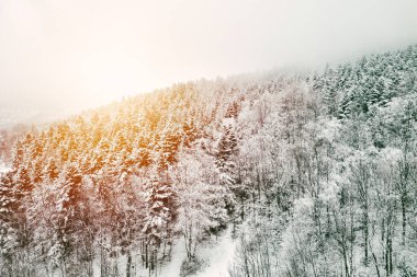 Buzla kaplı ağaçlar ve tepelerle rüzgarlı dağ manzarası