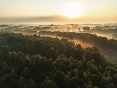 # Büyüleyici sonbahar sisi tarlalar ve ağaçlar üzerinde #