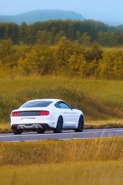 Klasik tasarım. Açık yolda Amerikan kaslı arabası.