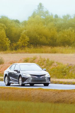 Lüks nakliye sedanı manzaralı yolda ilerliyor.