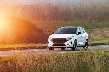 Yeşil doğa bölgesinden geçen nakliye aracı